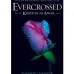 Book Giveaway: Evercrossed by Elizabeth Chandler (closed)